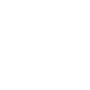 Partner-Trusted-Choice- White